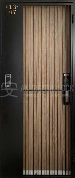 Metal Gate: ADL015 AN Digital Lock