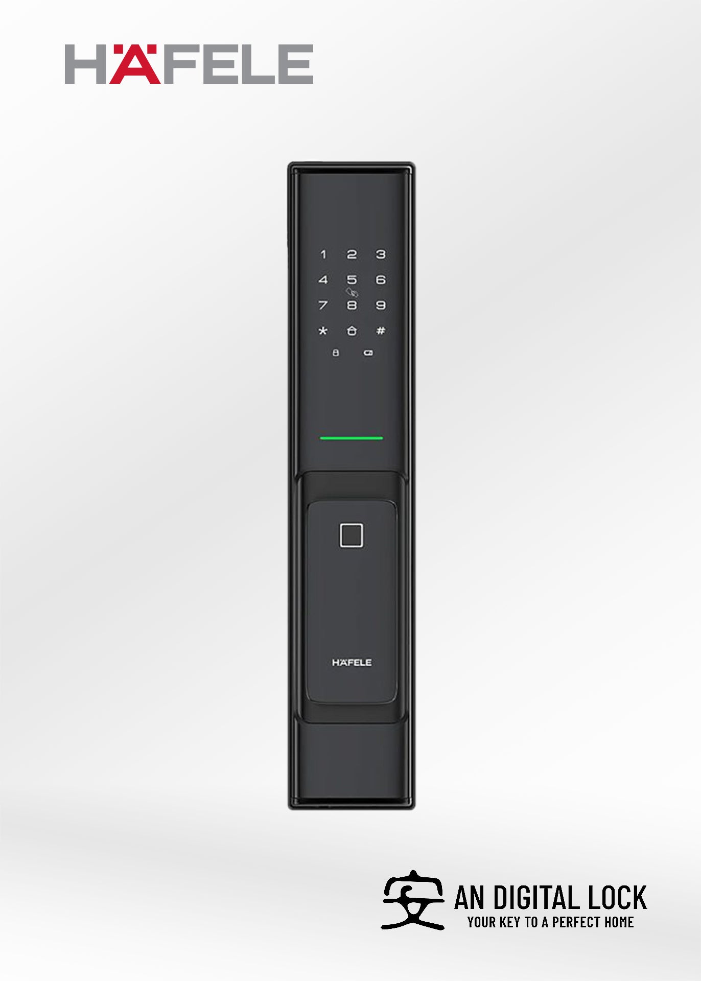 Bundle C8: Hafele PP8100 Door Lock + Hafele GL5700 Gate Lock Hafele
