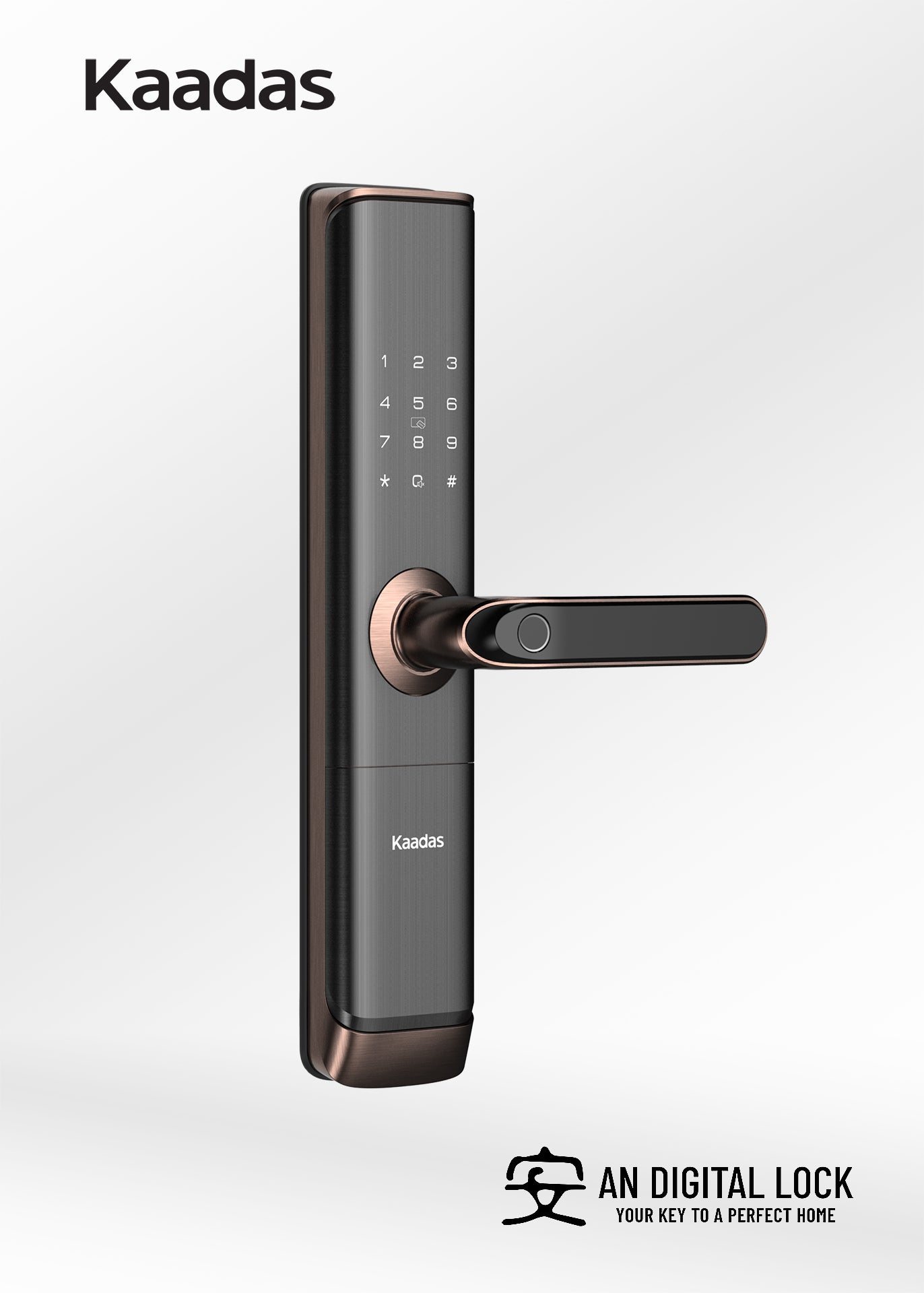 Bundle B4: Kaadas S110-5W Door Lock + Kaadas R8GD Door Lock Kaadas